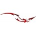 DragonTail_100